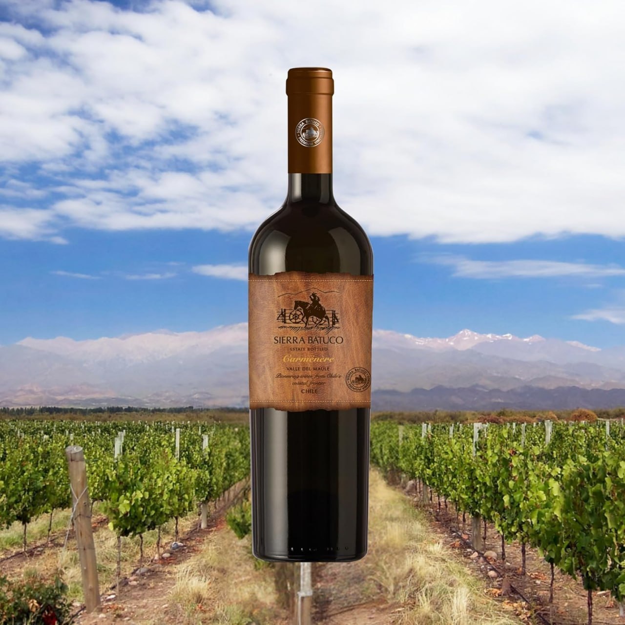 Sierra Batuco Vinho Tinto Chileno Cabernet Sauvignon, seco, 750Ml